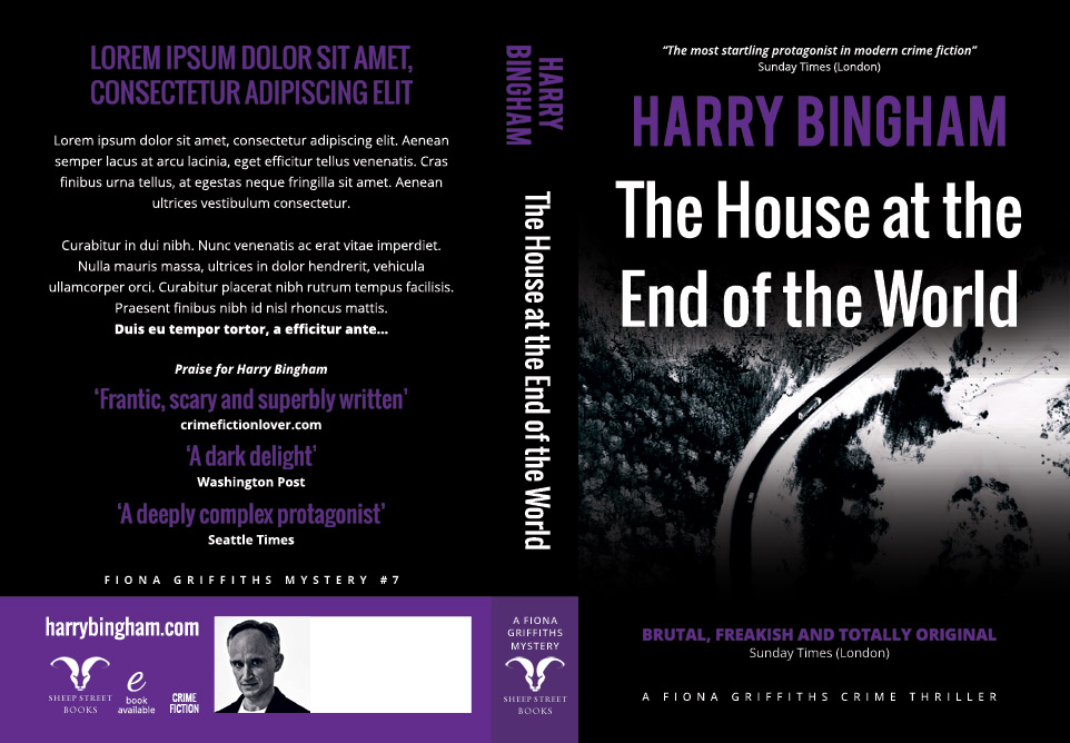 Fiona Griffiths # 7 The House at the End of the World - Harry Bingham - Discarded mock-up 1