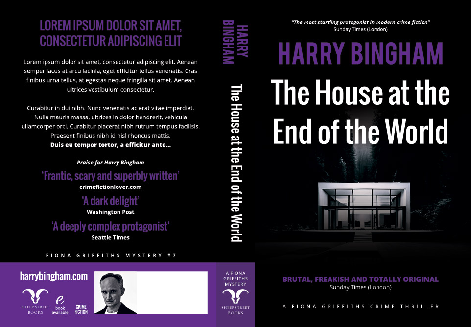Fiona Griffiths # 7 The House at the End of the World - Harry Bingham - Discarded mock-up 2